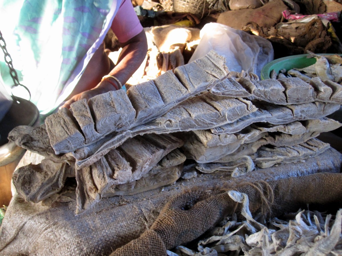 Mangalore Mangalore Mangalore Dry Fish Market
